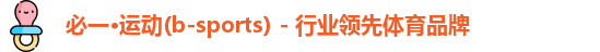 必一网络